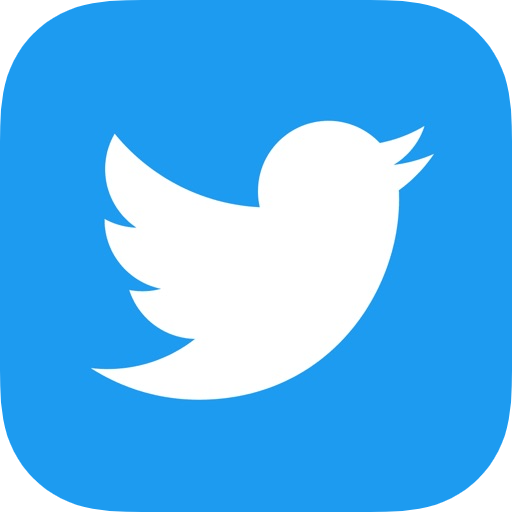 Twitter推特小白号-Twitter账号批发(10个)
